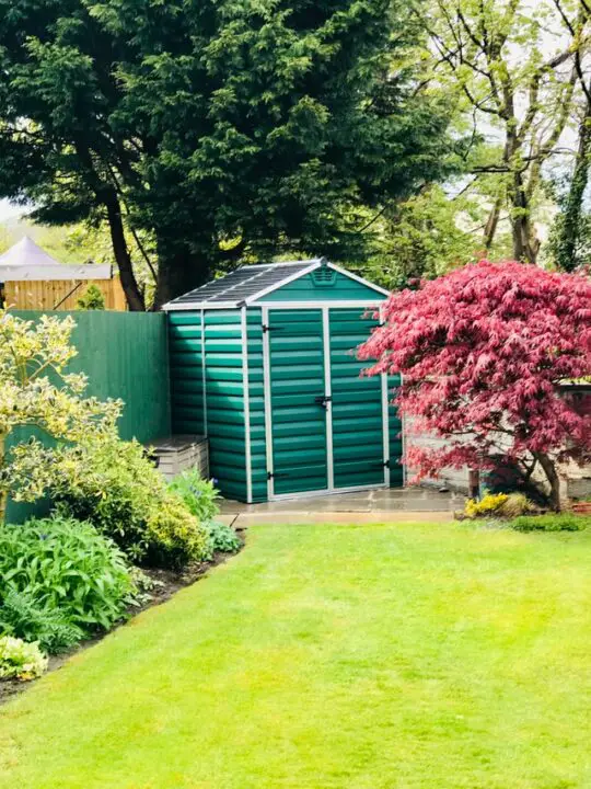 small tiny house backyard studio