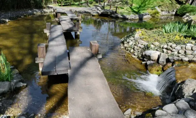 Front yard with stream rocks