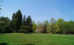 large backyard without fence