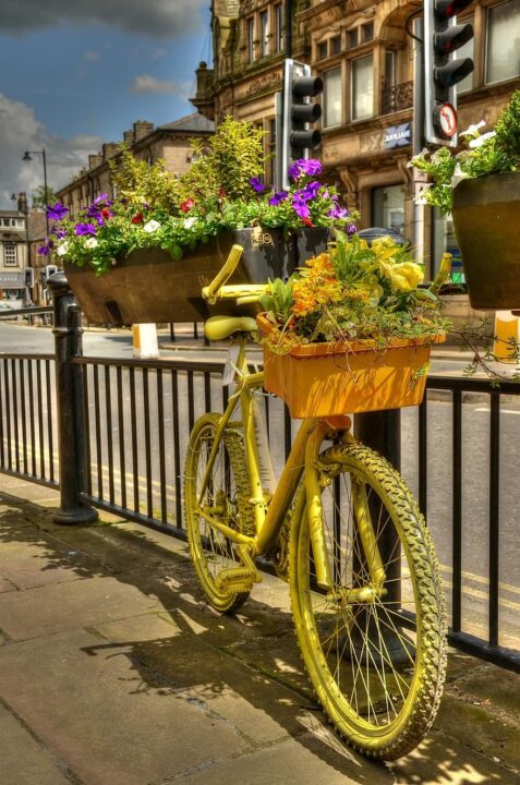 bicycle flower box floral display decoration basket outdoors urban city bike