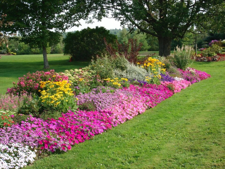 flowerbed installation for the garden or yard ideas