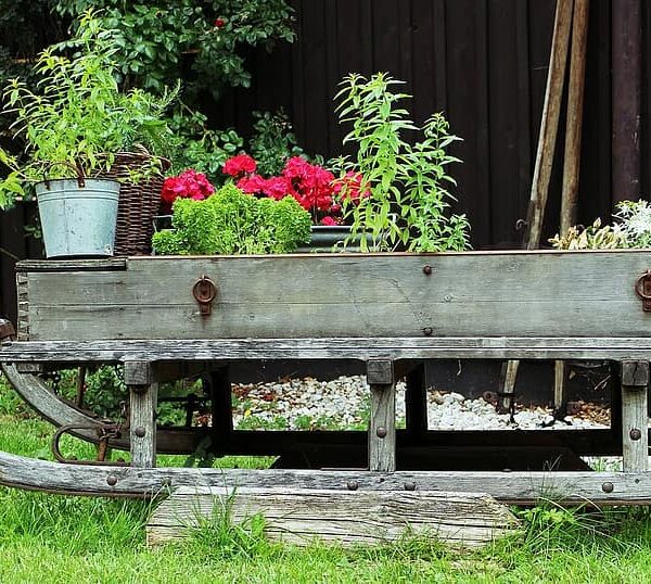 Small Landscaping Ideas for Your Garden or Yard