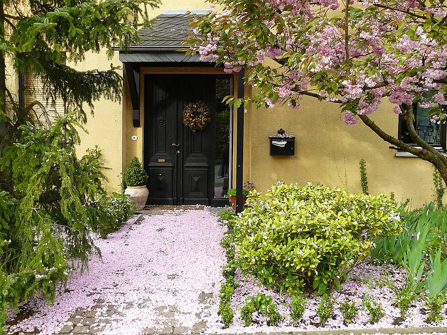 house entrance flowers blossom bloom petals flora light pink pink plant - front yard landscaping