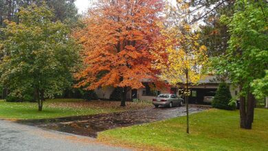 fall front yard orange yellow foliage leaves driveway wisconsin kronenwetter