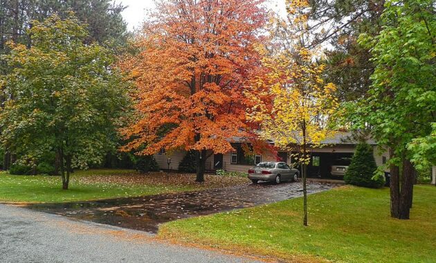 fall front yard orange yellow foliage leaves driveway wisconsin kronenwetter