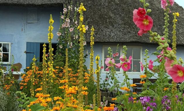 farm thatched roofs cottage garden garden flower meadow flora summer farmhouse village 1
