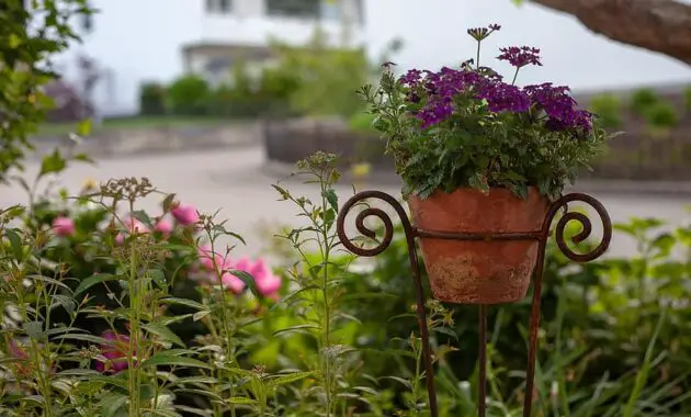 garden own garden cottage with garden front yard flowerpot topfplaze gardeners vintage