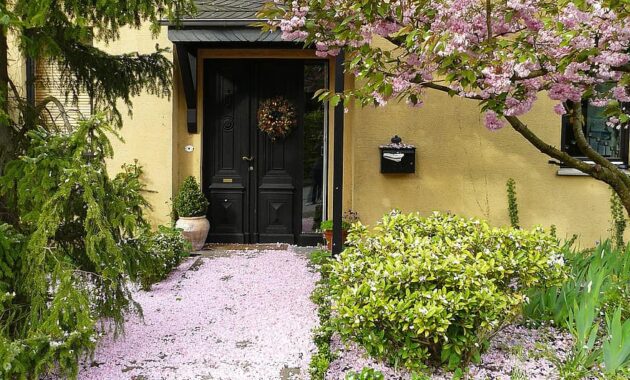 house entrance flowers blossom bloom petals flora light pink pink plant