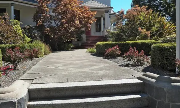 pathway walkway front yard path outdoor landscape stone walk way