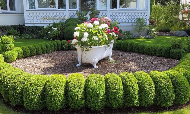 tub decoration front yard eye catcher flowers garden planters floral decoration hedge plants