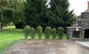 concrete patio with nature design