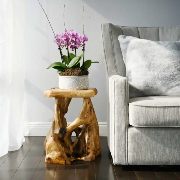 Tree Stump Coffee Table