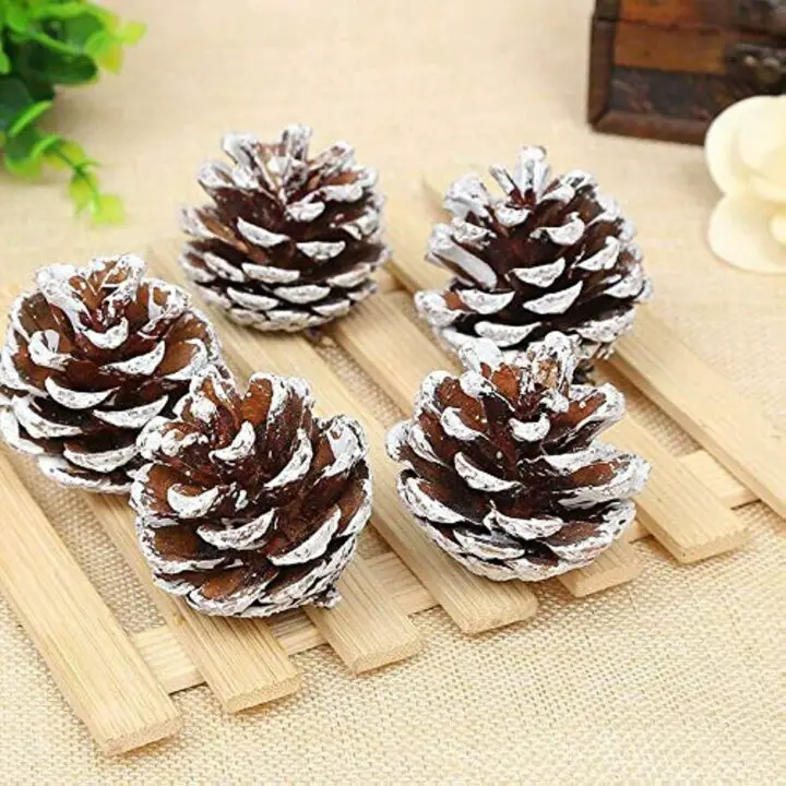 pinecones decor