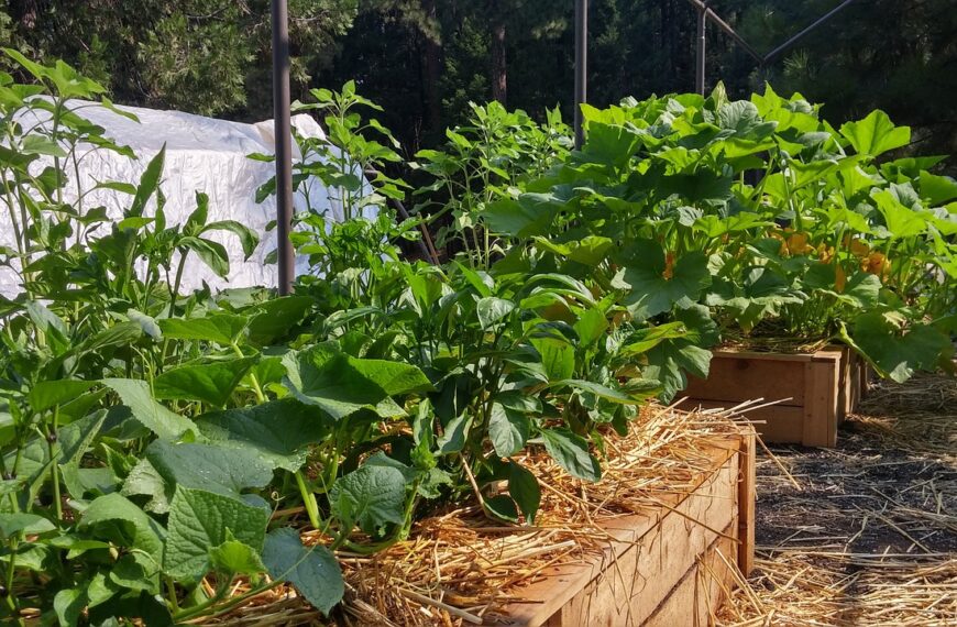 43 Grow Fresh Flavor: Inspiring Vegetable Garden Ideas for Everyone