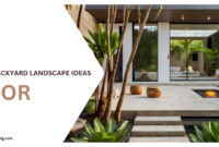 Tropical Backyard Landscape Ideas