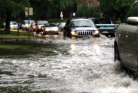 Designing Flood Safe Houses