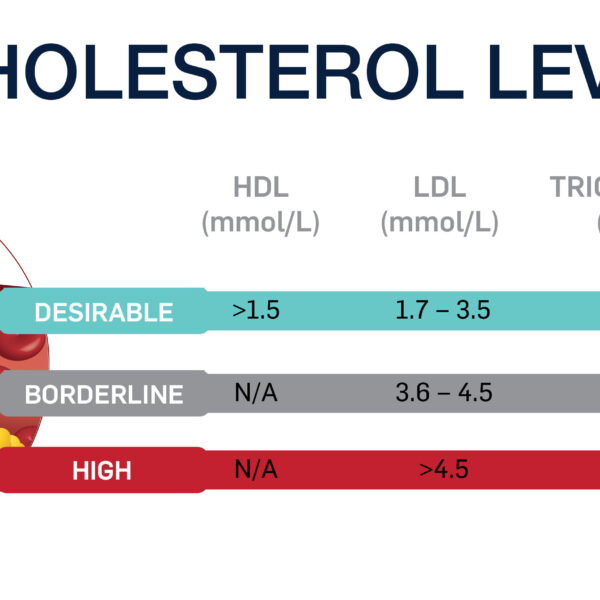 How to Lower LDL Cholesterol