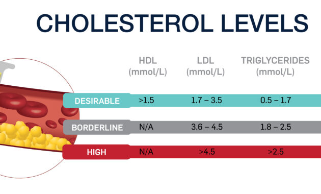 How to Lower LDL Cholesterol