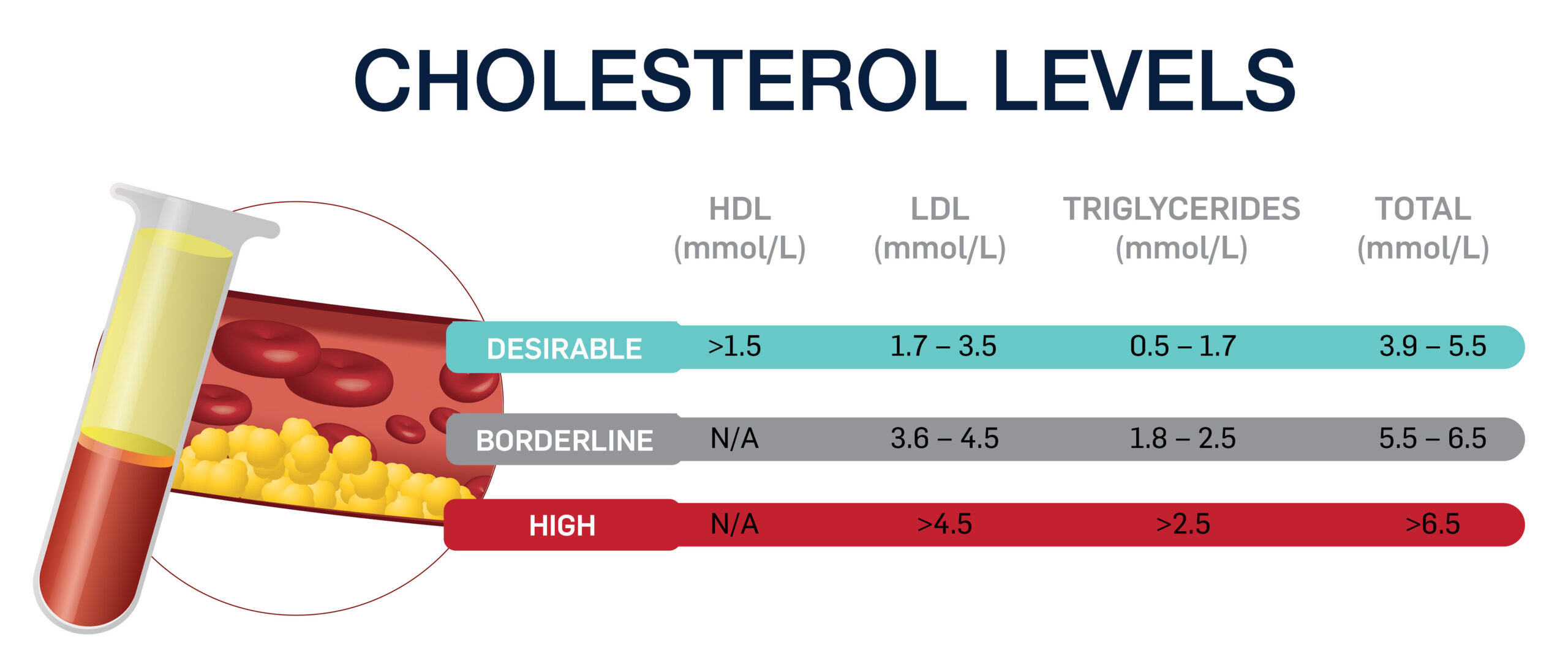 How to Lower LDL Cholesterol