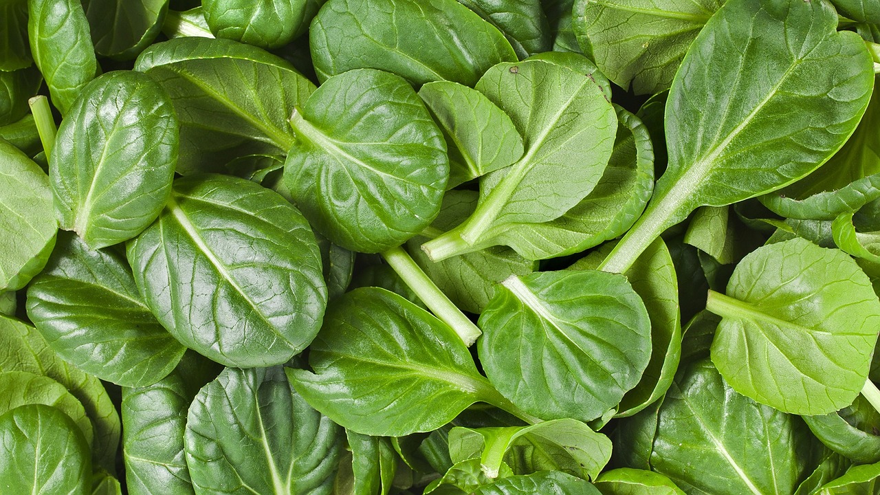 Choose Good Spinach