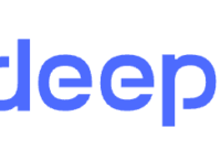 DeepSeek What is DeepSeek