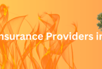 Best Fire Insurance Providers in Wyoming