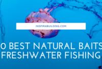 Top 10 Best Natural Baits for Freshwater Fishing