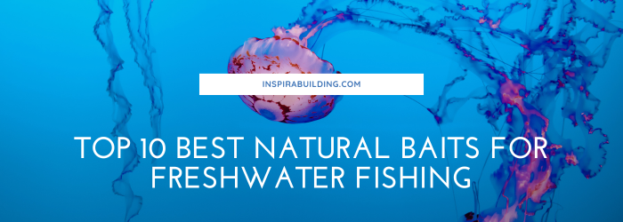 Top 10 Best Natural Baits for Freshwater Fishing Top 10 Best Natural Baits for Freshwater Fishing