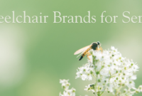 Wheelchair Brands for Seniors Wheelchair Brands for Seniors