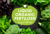 Liquid Organic Fertilizer