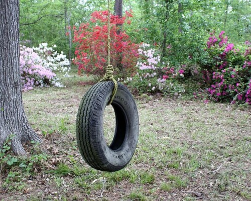 tire swing azaleas backyard