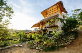 tropical florida landscaping ideas, tropical house design florida landscaping,house design with tropical ideas tropical florida landscaping ideas, tropical house design florida landscaping,house design with tropical ideas