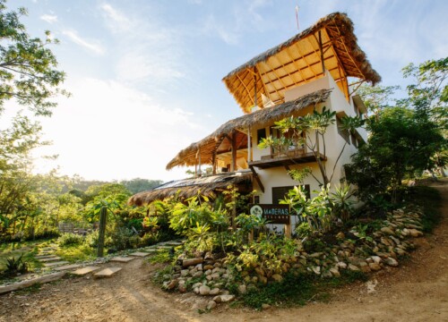 tropical florida landscaping ideas, tropical house design florida landscaping,house design with tropical ideas tropical florida landscaping ideas, tropical house design florida landscaping,house design with tropical ideas
