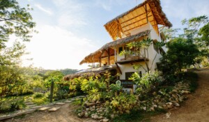 tropical florida landscaping ideas, tropical house design florida landscaping,house design with tropical ideas