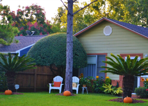 florida landscaping,florida landscaping ideas,plants for florida landscaping,florida friendly landscaping,best plant for florida landscaping florida landscaping,florida landscaping ideas,plants for florida landscaping,florida friendly landscaping,best plant for florida landscaping,florida landscaping ideas for front of house