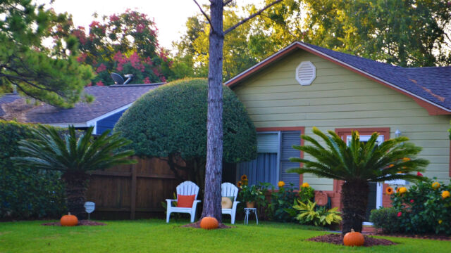 florida landscaping,florida landscaping ideas,plants for florida landscaping,florida friendly landscaping,best plant for florida landscaping florida landscaping,florida landscaping ideas,plants for florida landscaping,florida friendly landscaping,best plant for florida landscaping,florida landscaping ideas for front of house