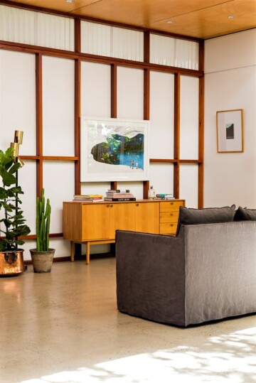traditional living room concept with indoor plants traditional living room concept with indoor plants
